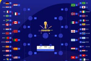 世界杯16強落位：還剩1席！阿根廷同1/4決賽分區已確定埃及、瑞士