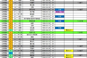 國安2026中超夏轉後報名名單:撤下恩科洛洛 補報斯帕吉奇劉邵子洋