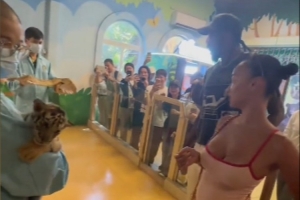 有愛瞬間！傑倫·格林來到動物園 與小老虎手拉手親密互動