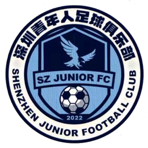 深圳青年人隊徽