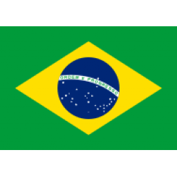 巴西隊徽